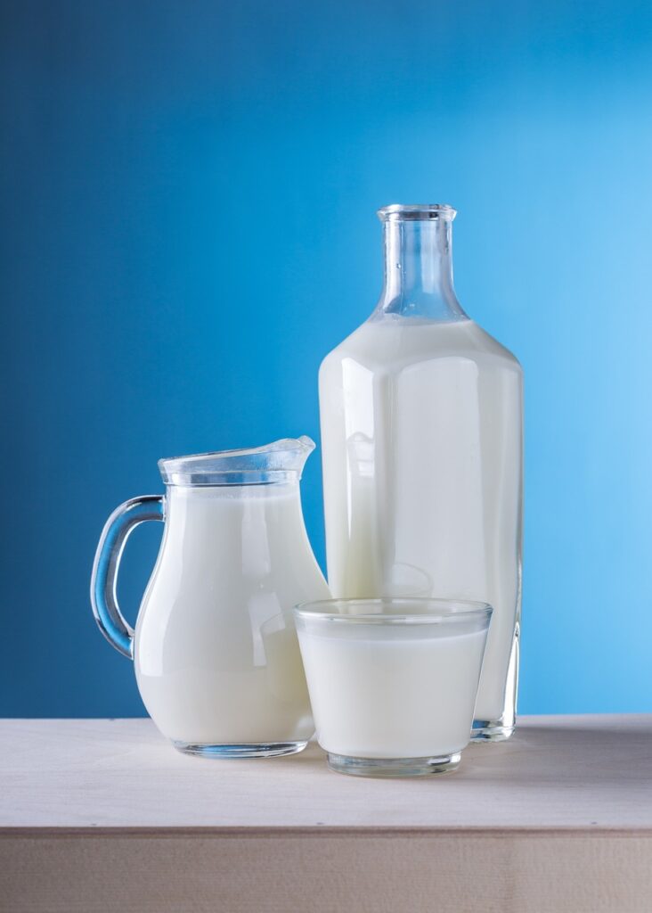 The Basics of Dairy Processing
