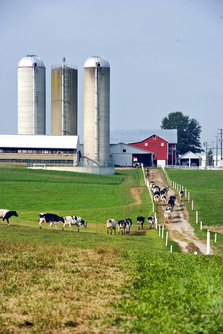 Quality Control in Dairy Processing